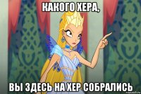 какого хера, вы здесь на хер собрались