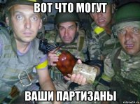 вот что могут ваши партизаны
