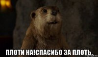  плоти на!спасибо за плоть.