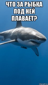 что за рыбка под ней плавает? 