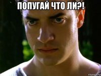 попугай что ли?! 