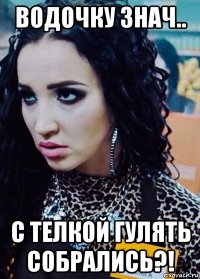 водочку знач.. с телкой гулять собрались?!