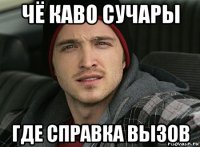 чё каво сучары где справка вызов