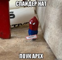 спайдер нат поук арех