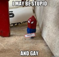 i may be stupid and gay