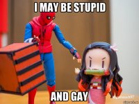 i may be stupid and gay