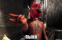  пыня