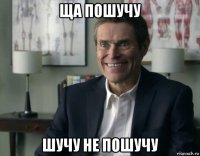 ща пошучу шучу не пошучу