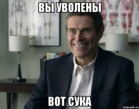 вы уволены вот сука