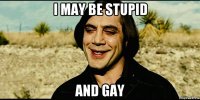 i may be stupid and gay