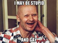i may be stupid and gay