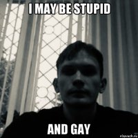 i may be stupid and gay