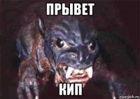 прывет кип