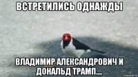 встретились однажды владимир александрович и дональд трамп....