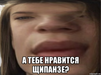  а тебе нравится щипанзе?