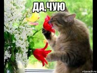 да,чую 