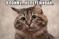 я пойму... не переживай.. 