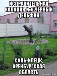 исправительная колония №6 черный дельфин соль-илецк, оренбургская область