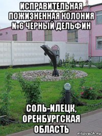 исправительная пожизненная колония №6 черный дельфин соль-илецк, оренбургская область