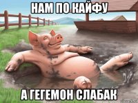 нам по кайфу а гегемон слабак