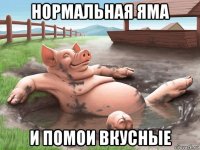 нормальная яма и помои вкусные