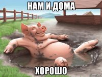 нам и дома хорошо