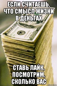 если считаешь, что смысл жизни в деньгах ставь лайк, посмотрим, сколько вас