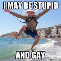 i may be stupid and gay