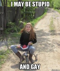 i may be stupid and gay