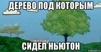 дерево под которым сидел ньютон