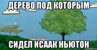 дерево под которым сидел исаак ньютон
