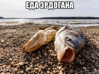 еда эрдогана 