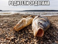 родители эрдогана 