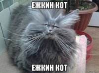 ежкин кот ежкин кот