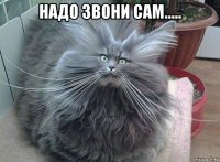 надо звони сам..... 