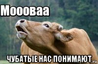 чубатые нас понимают