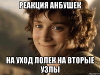 реакция анбушек на уход лолек на вторые узлы