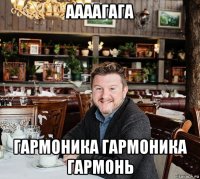 аааагага гармоника гармоника гармонь