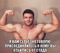  я вам серьёзно говорю. присоединяйтесь к нему. вы отбились от стада