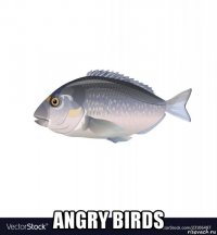  angry birds