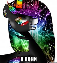  я пони