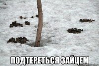  подтереться зайцем
