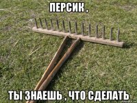 персик , ты знаешь , что сделать