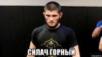  силач горный