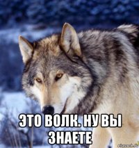  это волк. ну вы знаете
