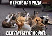 верховная рада. депутаты голосуют.