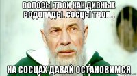 волосы твои как дивные водопады. сосцы твои… на сосцах давай остановимся