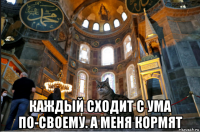  каждый сходит с ума по-своему. а меня кормят