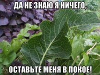 да не знаю я ничего, оставьте меня в покое!