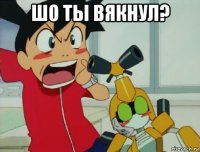 шо ты вякнул? 